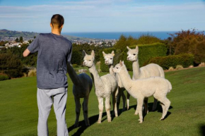 Alpaca Farmstay